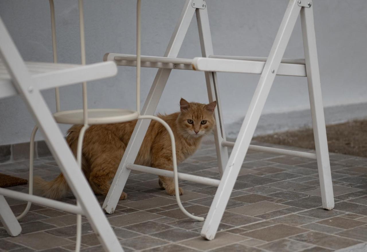 Αγροικία της Βασιλικής Διαμέρισμα Ορμύλια Εξωτερικό φωτογραφία